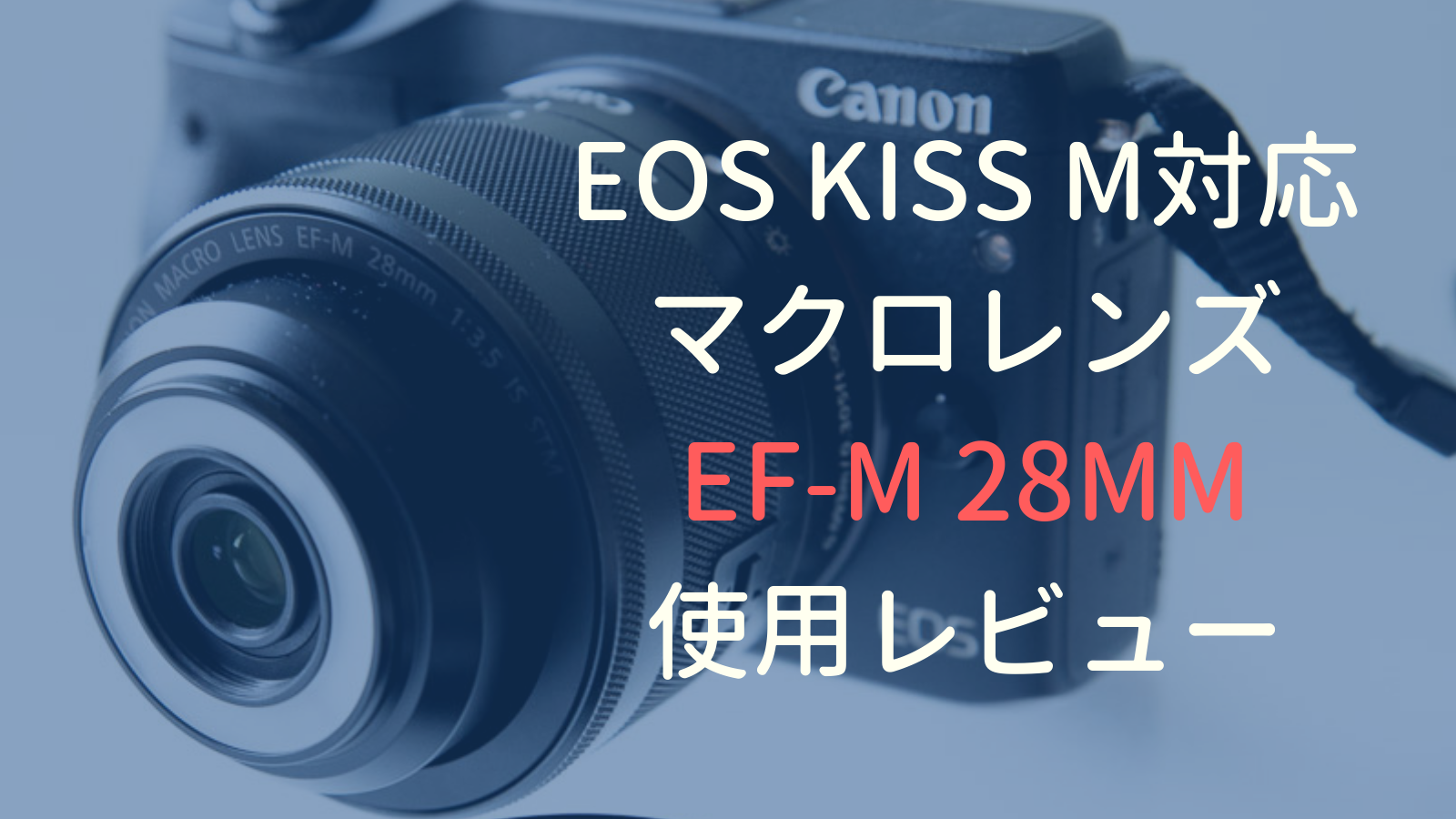 EOS Kiss M/M2用マクロレンズEF-M 28mm【使用レビュー】花・料理・商品 ...