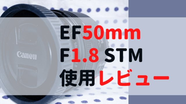 キヤノンEF50mm F1.8 STM【使用レビュー】神コスパの単焦点レンズ 