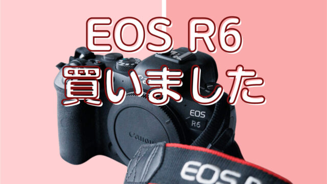EOS R6 買いました
